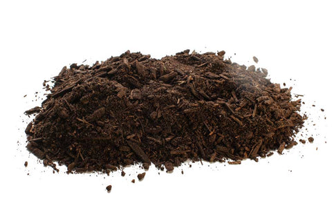 Image Title Peat Moss