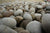 Creekstone 1" to 2"