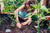 Garden Mix 3-1-1