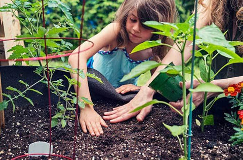 Image Title Garden Mix - Park Topsoil