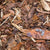 Bark Mulch Bulk Bag