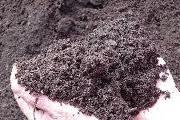 Image Title Number One Garden Mix - Park Topsoil