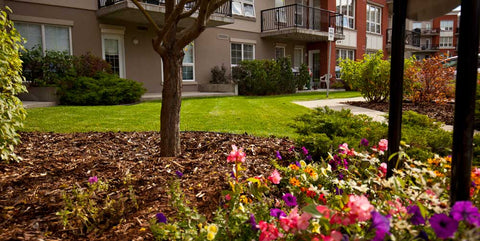 Image Title Bark Mulch