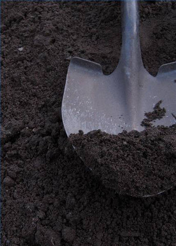Image Title Screened Topsoil - Park Topsoil