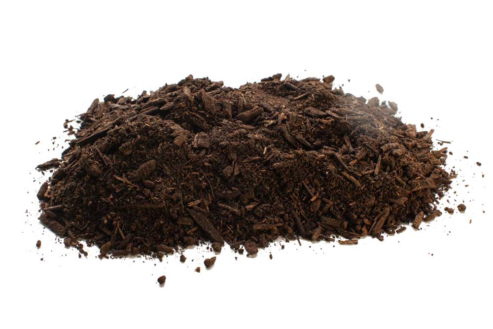 Peat Moss