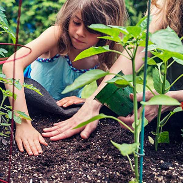 Number One Garden Mix